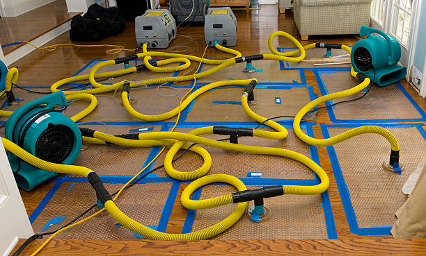 Professional Crawl Space Water Removal technician working in Cordova, TN